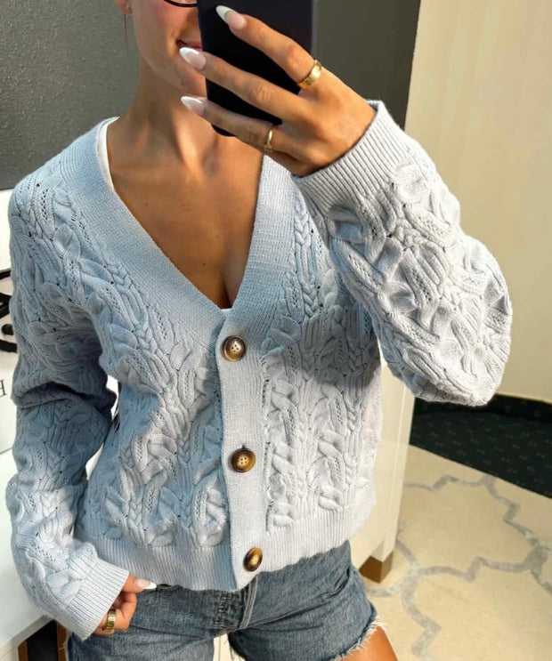 Light Blue V Neck Cable Knit Cardigan Top