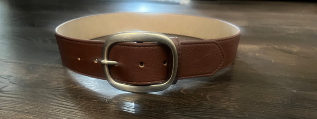 Brown Single Silver Buckle Belt